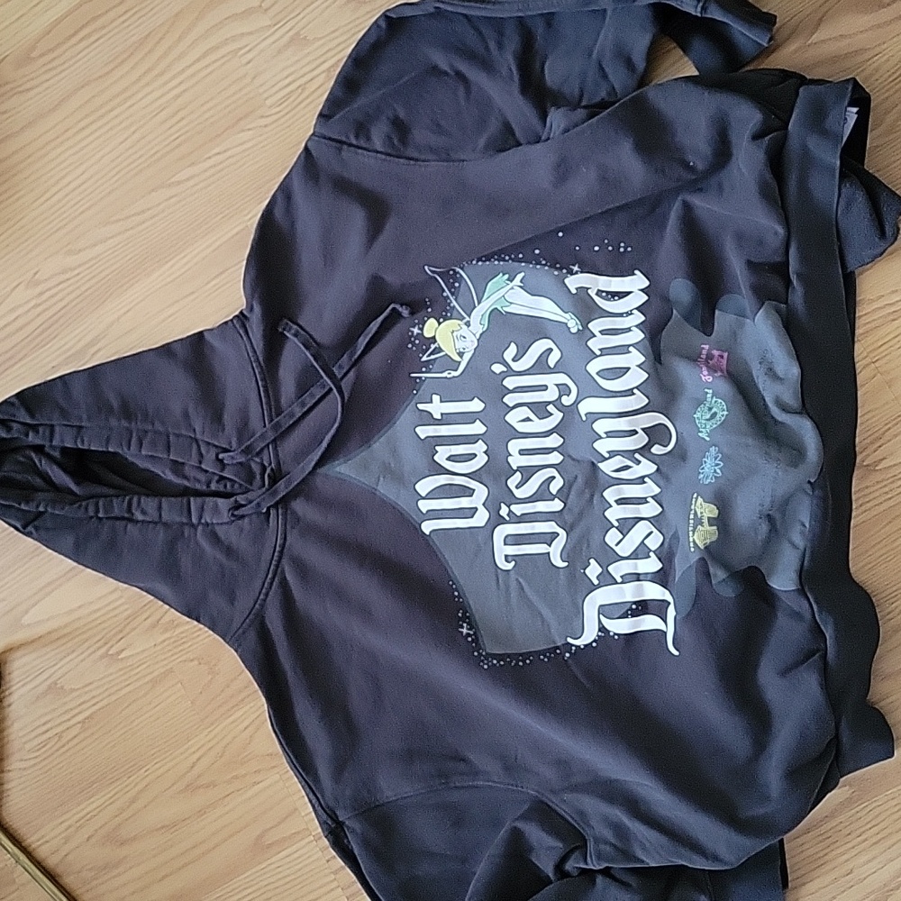 Disney100 Walt Disney’s Disneyland Semi-Cropped Pullover Hoodie